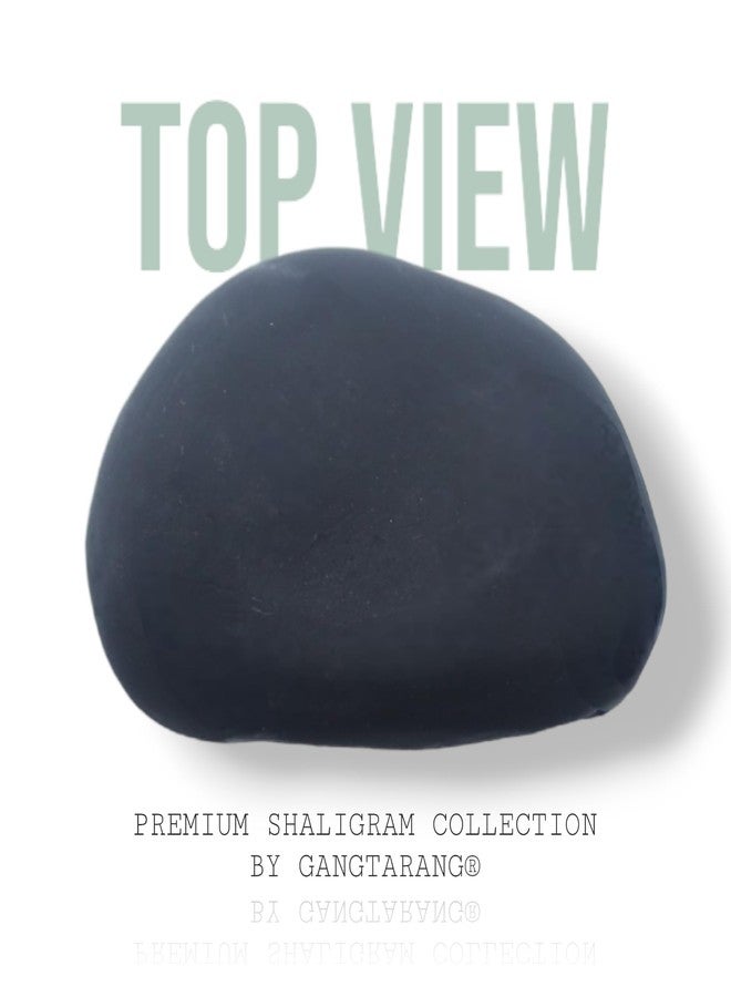 GANGTARANG Shaligram Stone Lakshmi-Narsimha نيبال Gandaki River Chakra Saligram لبوجا، أسود (4-6 سم) - SHALIGRAM-LNS-01 - Image 3